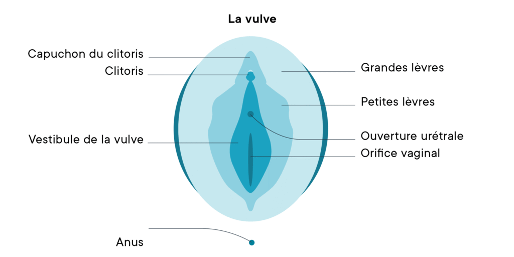 Réparation des séquelles de l’excision : L’opération est payante 2 Réparation des séquelles de l’excision : L’opération est payante 2