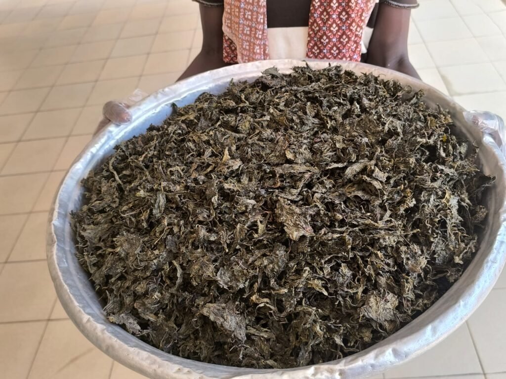 Entrepreneuriat féminin : Mangez local, vite et bien avec Almen Nacera Compaoré/Coulibaly 3 Entrepreneuriat féminin : Mangez local, vite et bien avec Almen Nacera Compaoré/Coulibaly 3