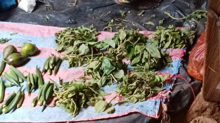 Feuilles de baobab frais : De retour dans des marchés de Ouagadougou 1 Feuilles de baobab frais : De retour dans des marchés de Ouagadougou 1
