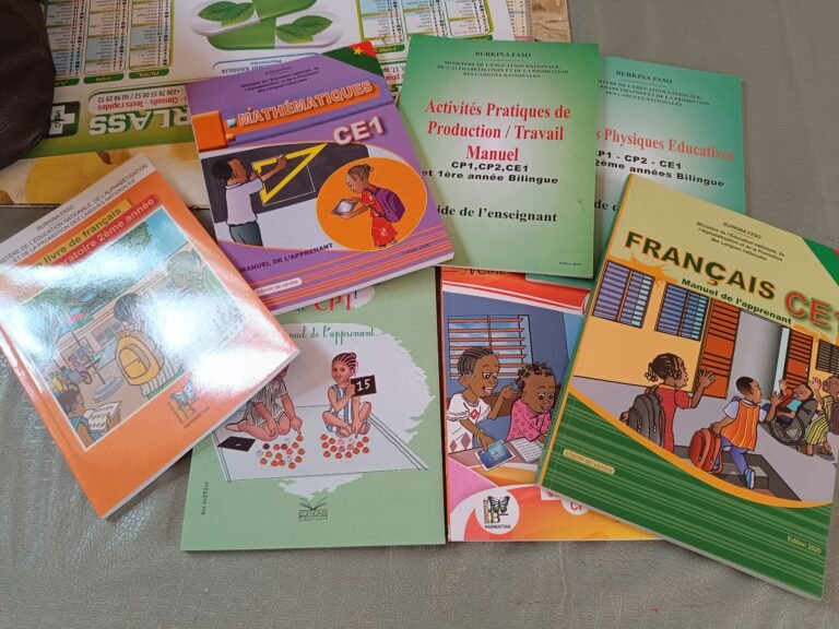 Enseignement au Burkina: De nouveaux manuels et autant de défis 3
