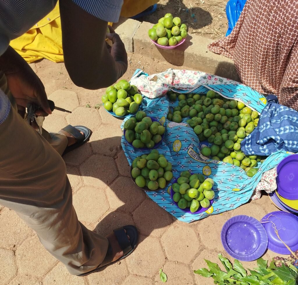 Ouagadougou : Les karités règnent sur les trottoirs 5 Ouagadougou : Les karités règnent sur les trottoirs 5