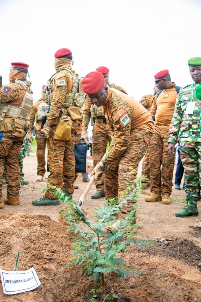 Reforestation : Le Président Ibrahim plante le premier arbre médicinal à Guiba 2 Reforestation : Le Président Ibrahim plante le premier arbre médicinal à Guiba 2