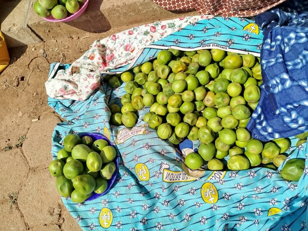 Ouagadougou : Les karités règnent sur les trottoirs 4 Ouagadougou : Les karités règnent sur les trottoirs 4