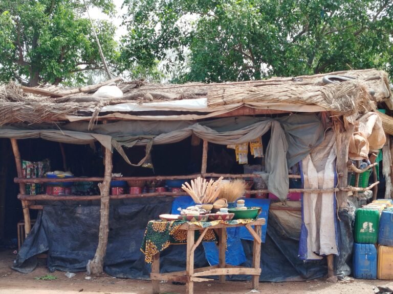 Site de Adja de Komsilga : Plus qu’un lieu de guérison, un véritable micro‑village 1 Site de Adja de Komsilga : Plus qu’un lieu de guérison, un véritable micro‑village 1