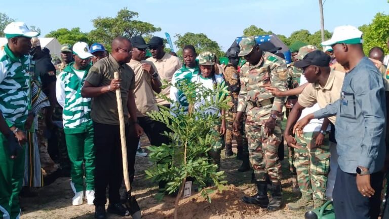 Journée nationale de l’arbre : 5 millions d’arbres pour reverdir le Faso 1 Journée nationale de l’arbre : 5 millions d’arbres pour reverdir le Faso 1
