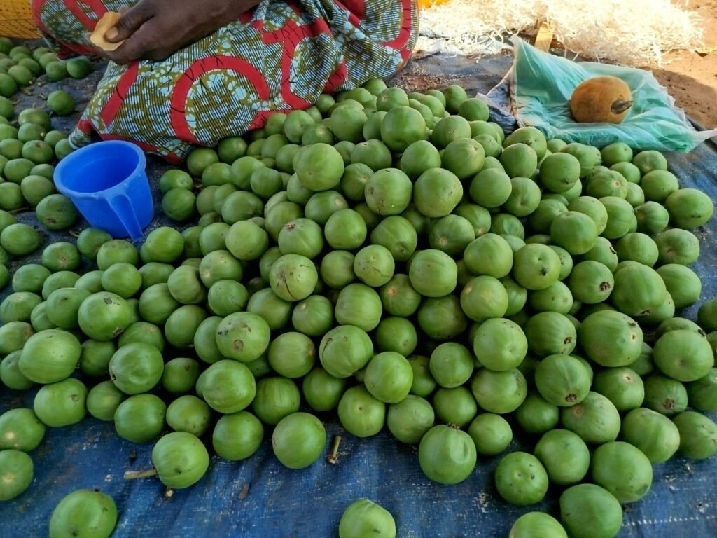 Ouagadougou : Les karités règnent sur les trottoirs 6 Ouagadougou : Les karités règnent sur les trottoirs 6