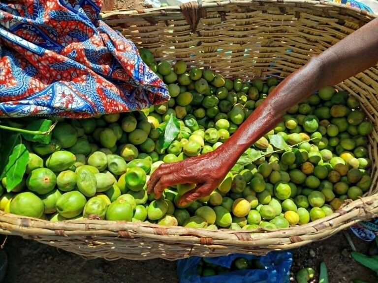 Ouagadougou : Les karités règnent sur les trottoirs 1 Ouagadougou : Les karités règnent sur les trottoirs 1