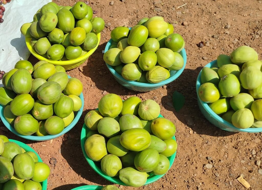 Ouagadougou : Les karités règnent sur les trottoirs 3 Ouagadougou : Les karités règnent sur les trottoirs 3