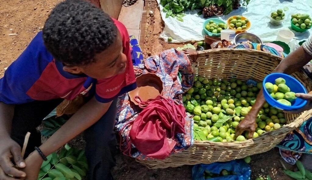 Ouagadougou : Les karités règnent sur les trottoirs 2 Ouagadougou : Les karités règnent sur les trottoirs 2