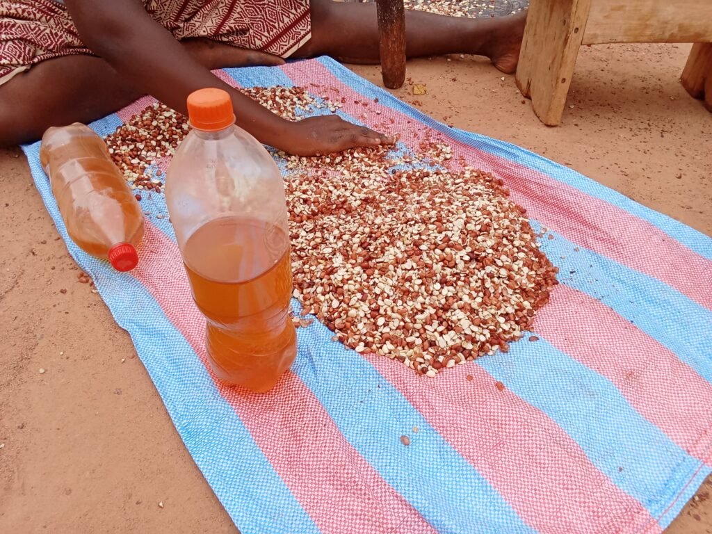 Ouagadougou : Huile d’arachide, l’or liquide en plein essor 3 Ouagadougou : Huile d’arachide, l’or liquide en plein essor 3