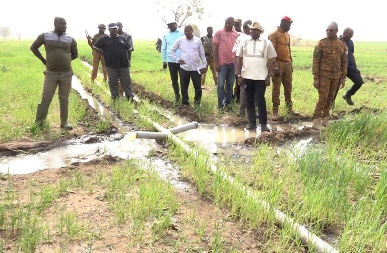 APSA-Sahel: Bientôt Une alliance pour des producteurs de semences agricoles 1 APSA-Sahel: Bientôt Une alliance pour des producteurs de semences agricoles 1
