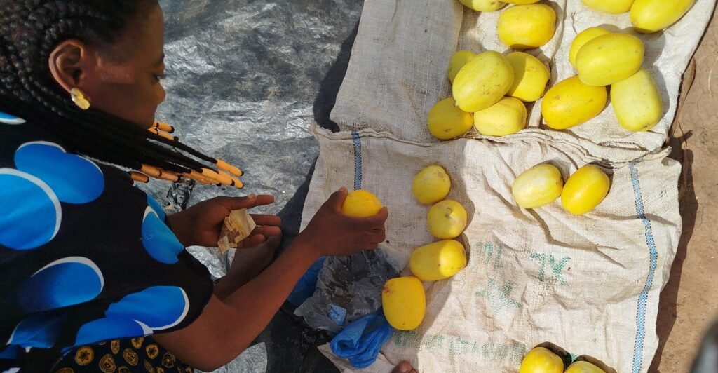 Melon jaune : Un fruit de saison aux multiples vertus 4