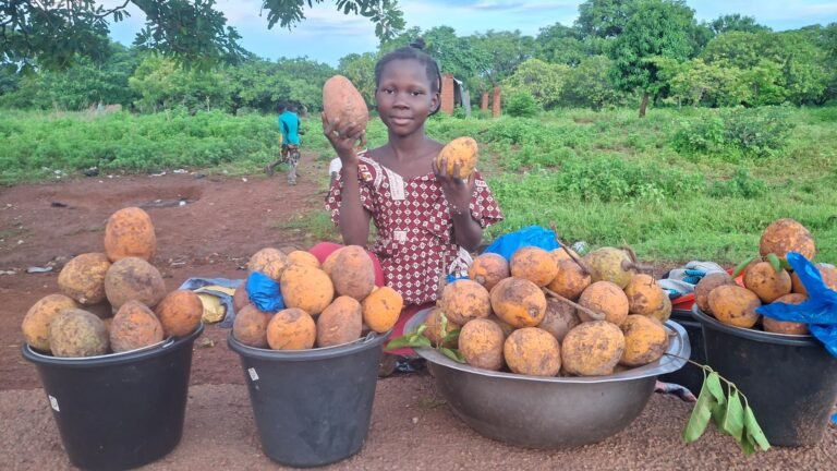 Toussiana : Bérénice, 10 ans, vend des lianes pendant les vacances pour soutenir sa famille 1 Toussiana : Bérénice, 10 ans, vend des lianes pendant les vacances pour soutenir sa famille 1