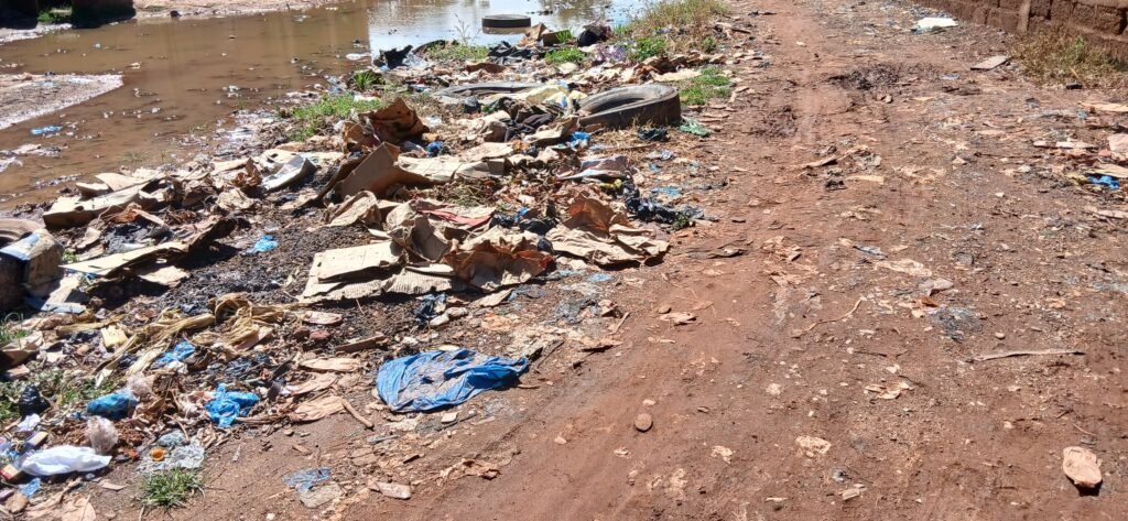 Ouagadougou: Déchets ménagers et fosses septiques, un danger quotidien dans les quartiers 3 Ouagadougou: Déchets ménagers et fosses septiques, un danger quotidien dans les quartiers 3