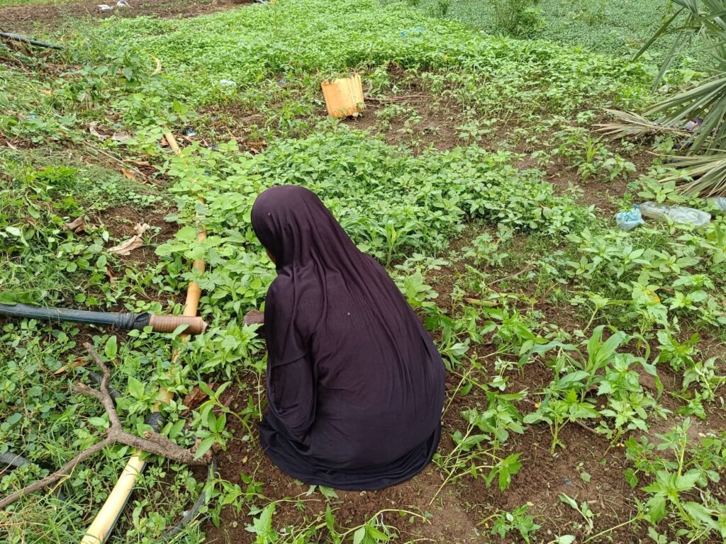 Saison pluvieuse : Les femmes maraîchères les pieds dans l’eau, déplore leurs récoltes 5 Saison pluvieuse : Les femmes maraîchères les pieds dans l’eau, déplore leurs récoltes 5