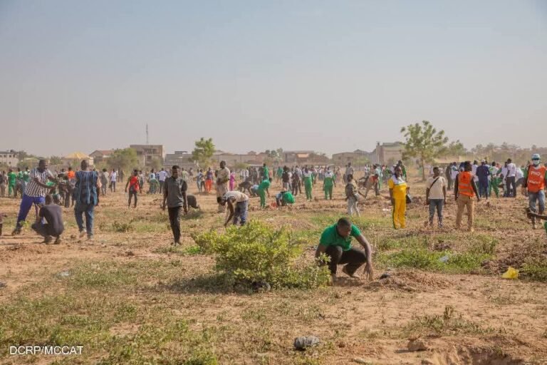 Environnement : 4,4 milliards de FCFA pour reverdir le Faso 1 Environnement : 4,4 milliards de FCFA pour reverdir le Faso 1