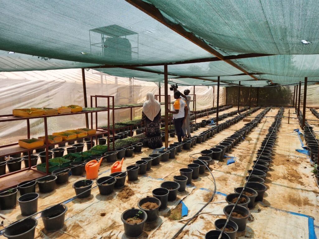 Emplois verts et croissance économique bas-carbone : un levier d’avenir pour les jeunes et les femmes au Burkina Faso 2 Emplois verts et croissance économique bas-carbone : un levier d’avenir pour les jeunes et les femmes au Burkina Faso 2