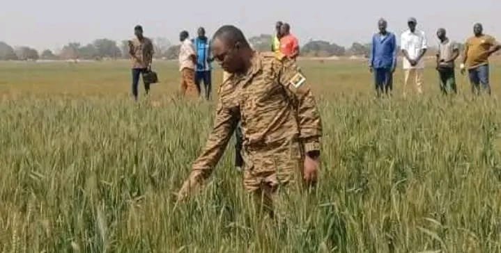 Kadiogo : Le ministre 𝐈𝐬𝐦𝐚𝐞̈𝐥 𝐒ombié 𝐯𝐢𝐬𝐢𝐭𝐞 l'usine de transformation du riz en cours de finalisation 1 Kadiogo : Le ministre 𝐈𝐬𝐦𝐚𝐞̈𝐥 𝐒ombié 𝐯𝐢𝐬𝐢𝐭𝐞 l'usine de transformation du riz en cours de finalisation 1
