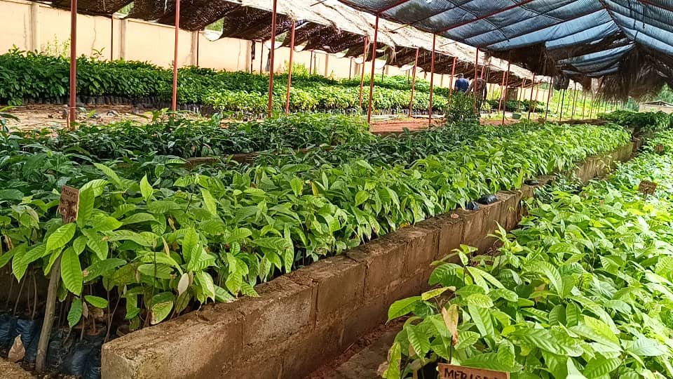 Bobo-Dioulasso : Les initiatives présidentielles prennent forme sur le terrain 10 Bobo-Dioulasso : Les initiatives présidentielles prennent forme sur le terrain 10