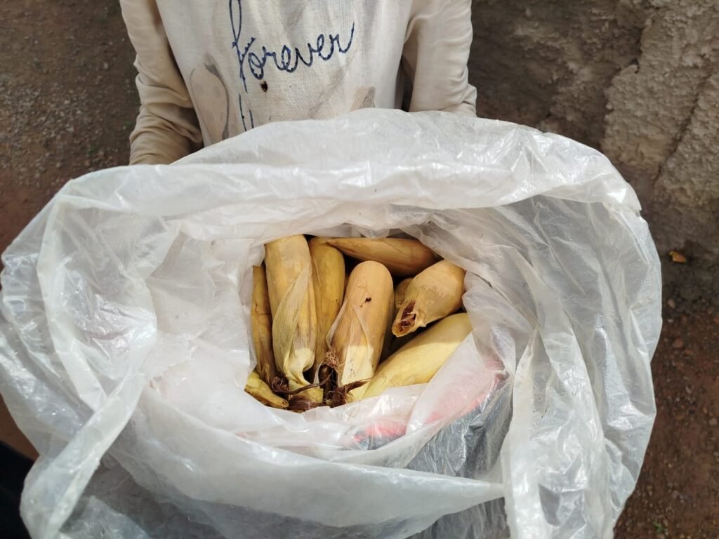 Ouagadougou : Il y’a aussi du maïs bouilli 3 Ouagadougou : Il y’a aussi du maïs bouilli 3