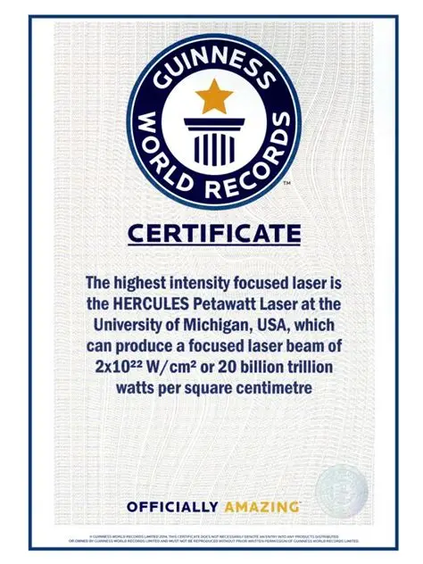 Guinness World Records : La gloire, la notoriété, mais à quel prix ? 4