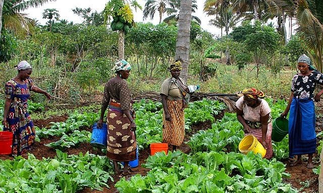Burkina : La commune de Barsalogho va abriter la 28e Journée internationale de la Femme rurale 3