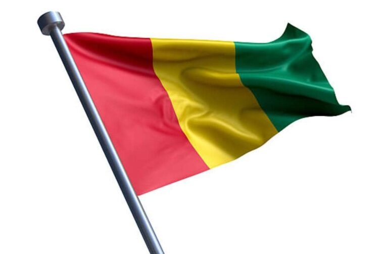 Guinée : Il viol un bébé de 11 mois et écope de 10 ans de prison 9 Guinée : Il viol un bébé de 11 mois et écope de 10 ans de prison 9