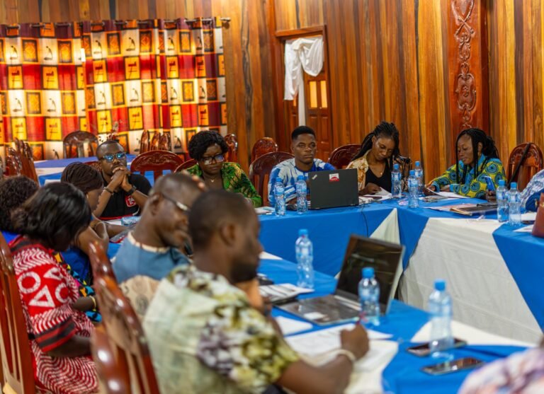 Banfora : 23 journalistes formés au traitement de l’information sur les assurances 9 Banfora : 23 journalistes formés au traitement de l’information sur les assurances 9