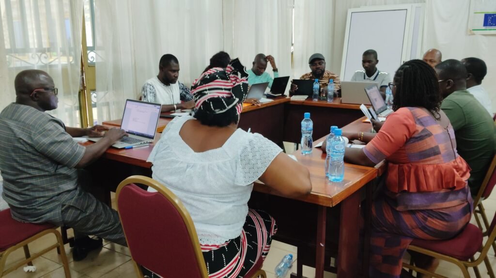 Capitalisation du Projet FASOVEIL : Un Pas Important pour l'Amélioration des Politiques Publiques 2 Capitalisation du Projet FASOVEIL : Un Pas Important pour l'Amélioration des Politiques Publiques 2