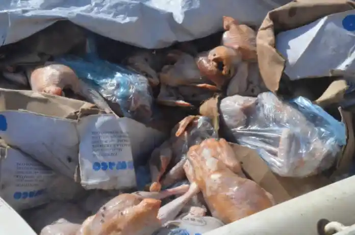 Ouagadougou : 267 sacs de cyanure, des explosifs, des cargaisons de poulets surgelés et de vivres frais importés saisi par la Douane 6 Ouagadougou : 267 sacs de cyanure, des explosifs, des cargaisons de poulets surgelés et de vivres frais importés saisi par la Douane 6