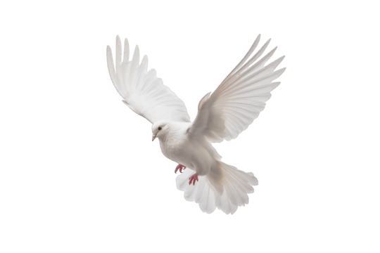 Paix et cohésion sociale au Burkina : Des jeunes filles en avant de la lutte dans l’espace numérique 10 Paix et cohésion sociale au Burkina : Des jeunes filles en avant de la lutte dans l’espace numérique 10