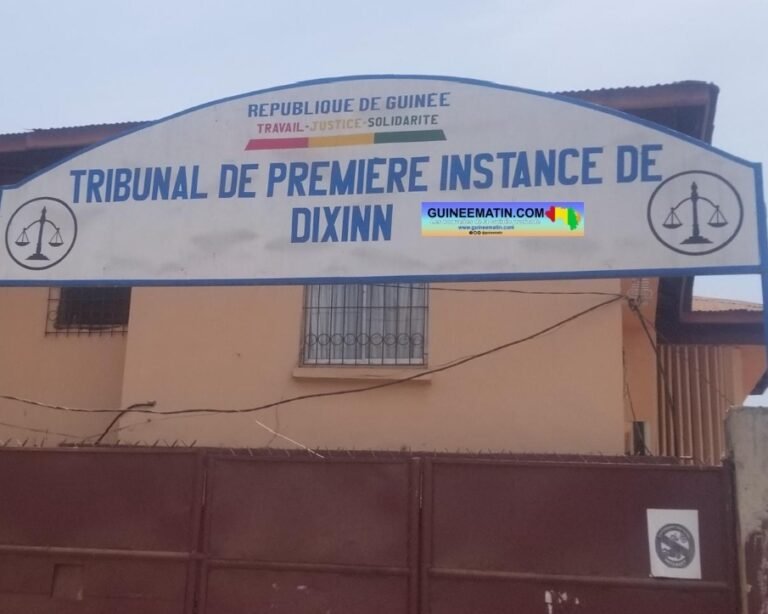 Mohamed Camara, chauffeur de 35 ans, est poursuivi pour injures publiques et menaces de mort au préjudice de sa propre mère,