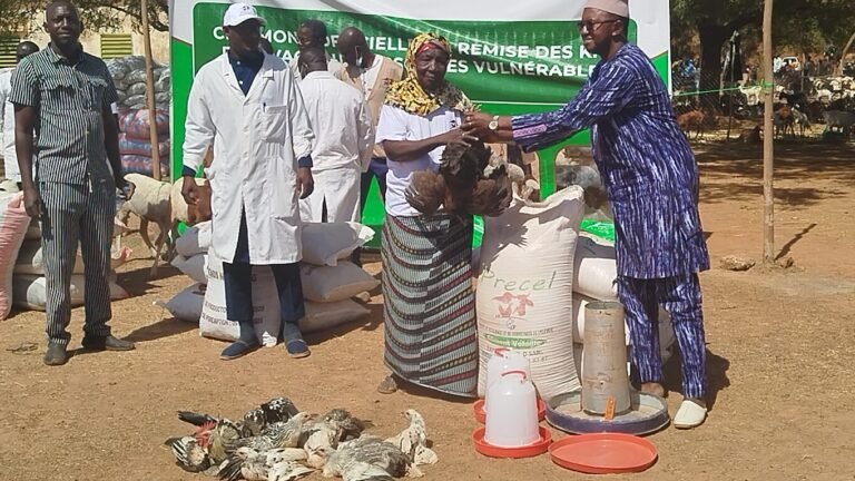 Mané : Plus de 45 500 femmes bénéficient de kits d’élevage 2 Mané : Plus de 45 500 femmes bénéficient de kits d’élevage 2