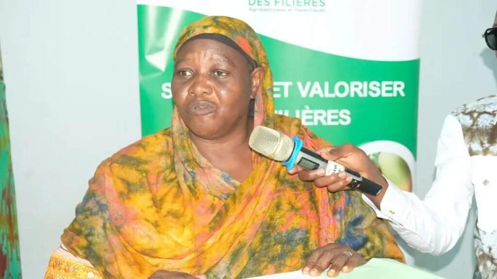 Burkina : Le prix plancher du sésame fixé à 535 F CFA le kg 3 Burkina : Le prix plancher du sésame fixé à 535 F CFA le kg 2