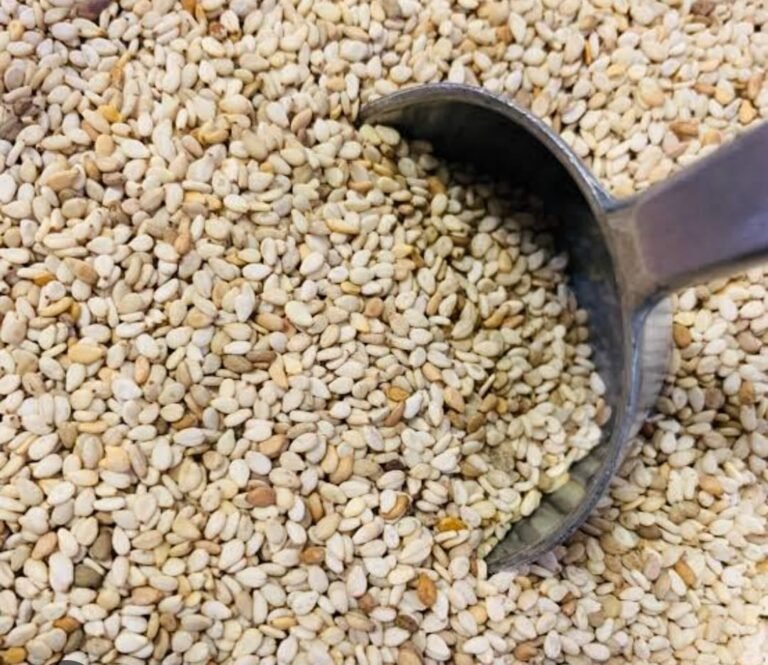 Burkina : Le prix plancher du sésame fixé à 535 F CFA le kg 7 Sésame