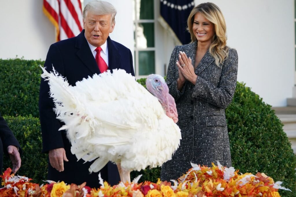 Thanksgiving : Trump gracie la dinde "Maïs", pour la dernière fois de son mandat 2 Thanksgiving USA