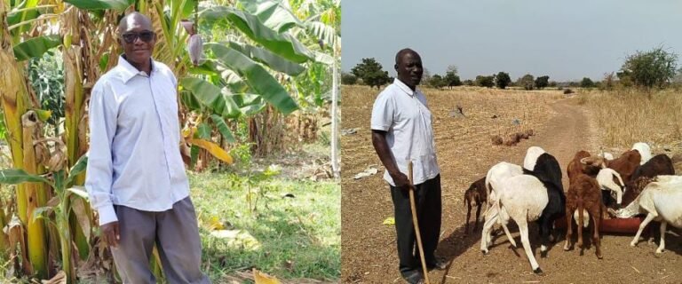 Burkina : Militaires à la retraite, ils ont troqué leur arme et tenue contre l’agropastorale 3