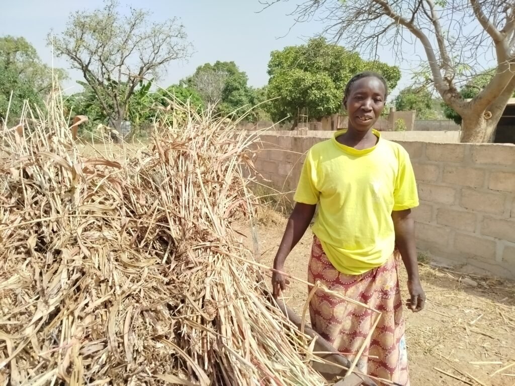Burkina : Militaires à la retraite, ils ont troqué leur arme et tenue contre l’agropastorale 7