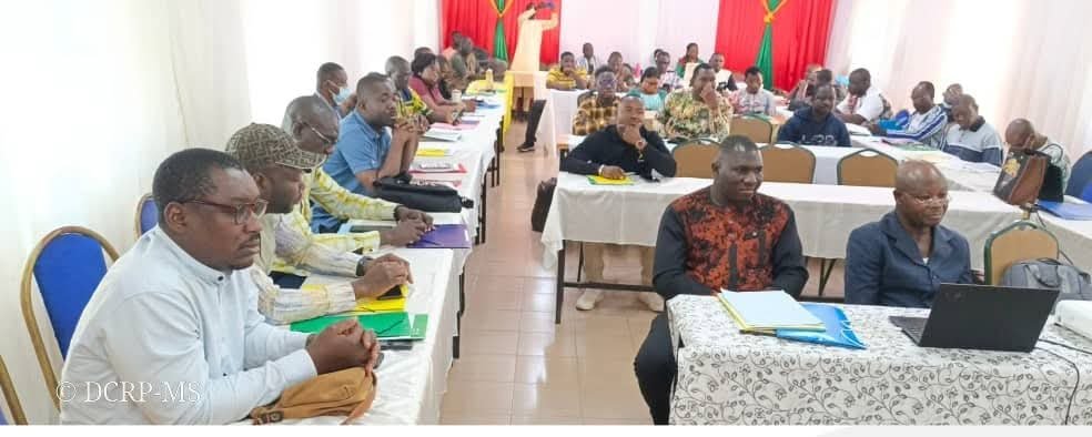 Lutte contre les décès maternels et périnatals évitables : Des journalistes outillés à Ziniaré 2