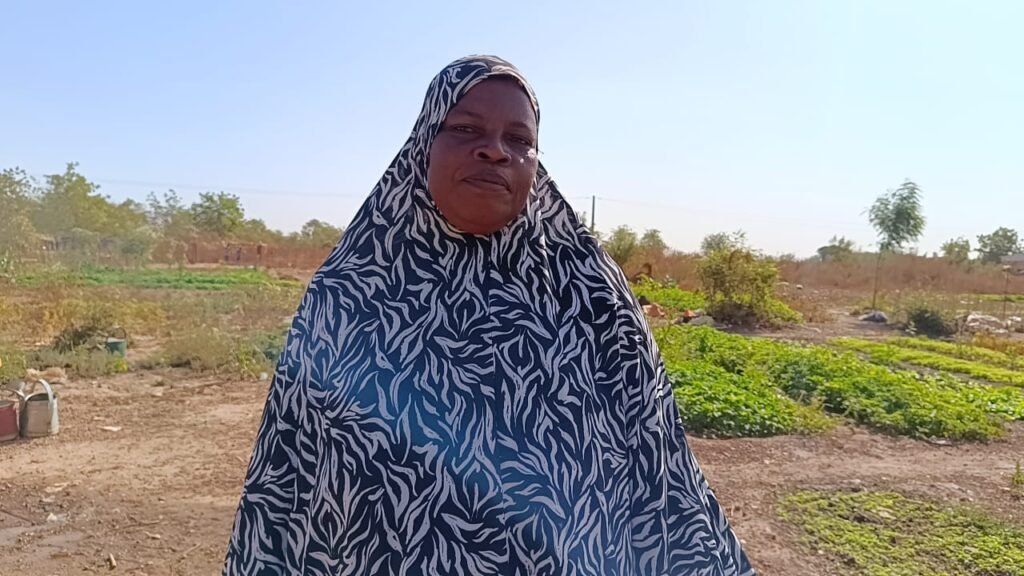 Saison froide au Burkina : La laitue s’impose comme la reine des potagers maraîchers 3