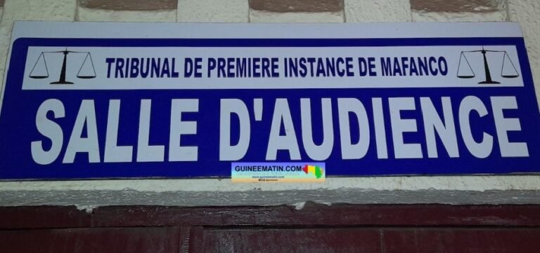 Guinée: 15 audiences criminelles annulées au TPI pour faute de carburant 3