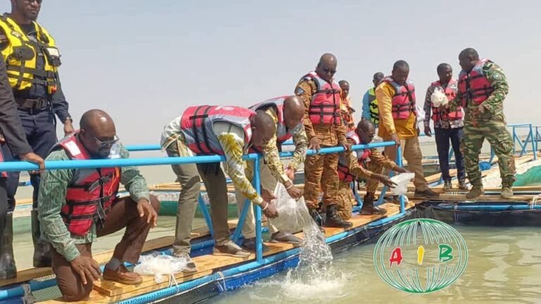 Reconversion des militaires retraités : La pisciculture en cages comme levier économique 5