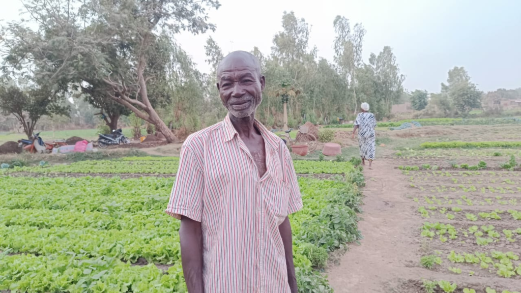 La betterave : Une culture aux multiples atouts 3