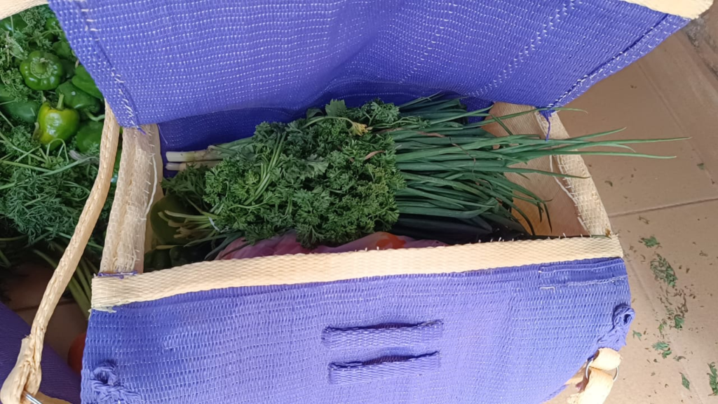 Légumes frais livrés à domicile : Une initiative du couple Kaboré qui soulage les ménages 4