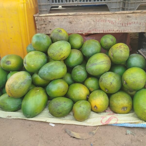 Ouagadougou : La mangue du Ghana, un fruit devenu presque un luxe