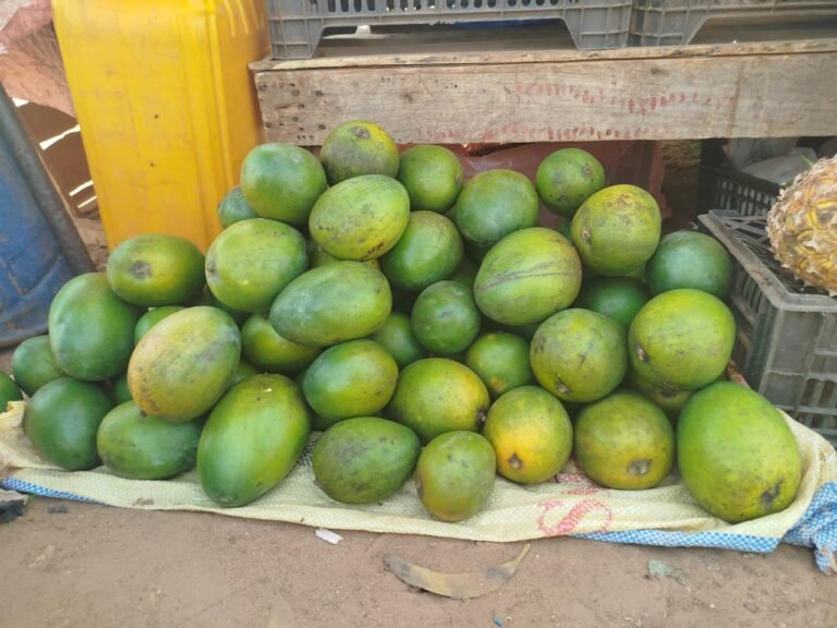 Ouagadougou : La mangue du Ghana, un fruit devenu presque un luxe 4