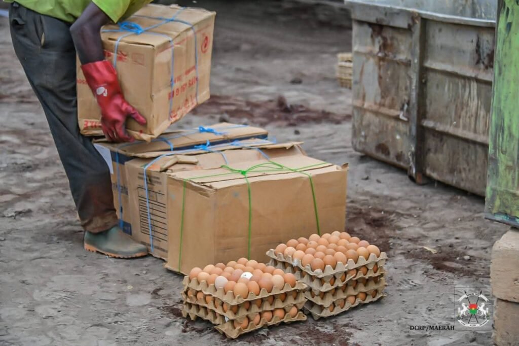 Ouagadougou : 180 000 œufs impropres saisis, détruits et recyclés en engrais organique