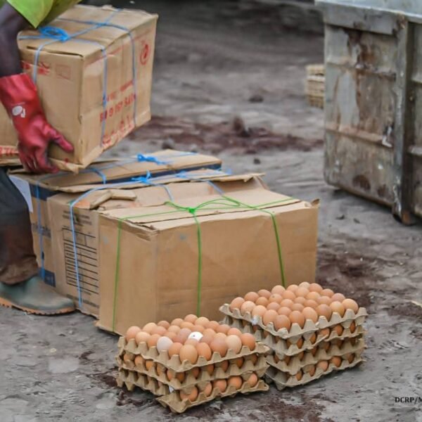 Ouagadougou : 180 000 œufs impropres saisis, détruits et recyclés en engrais organique