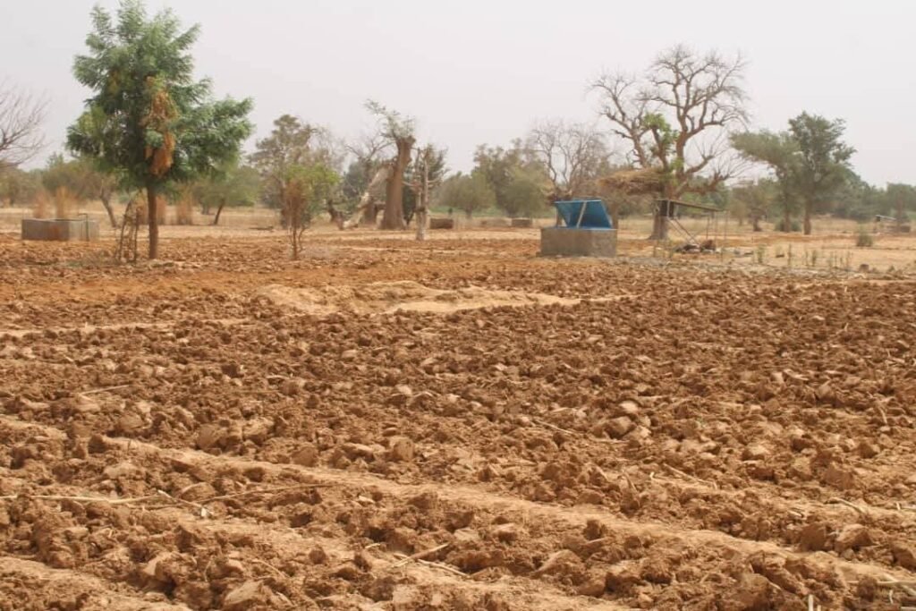 Poedogo : Des femmes bénéficient de 3 hectares de périmètre maraîcher