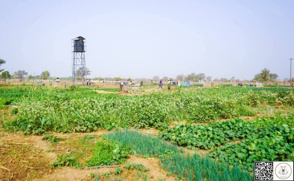 Mois de la Femme 2026 : 8 hectares aménagés pour l’autonomisation des femmes à Komtoèga
